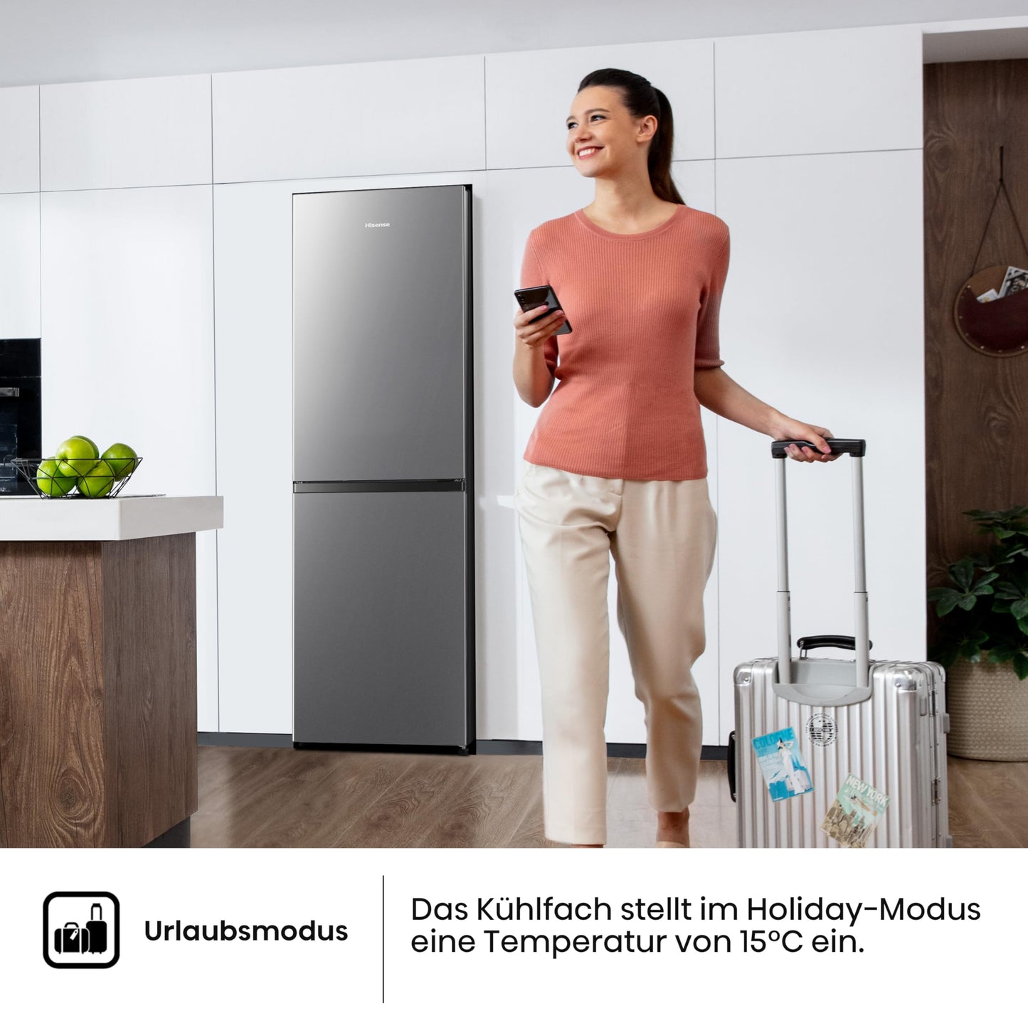 Hisense Kühl Gefrierkombination 256L Edelstahl Look